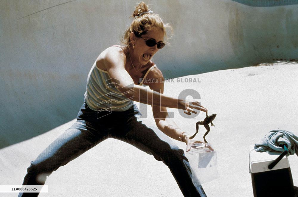 Erin Brockovich (2000)