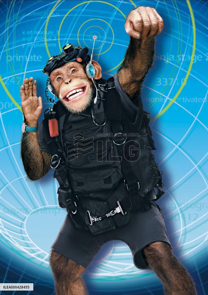 Funky Monkey (2004)