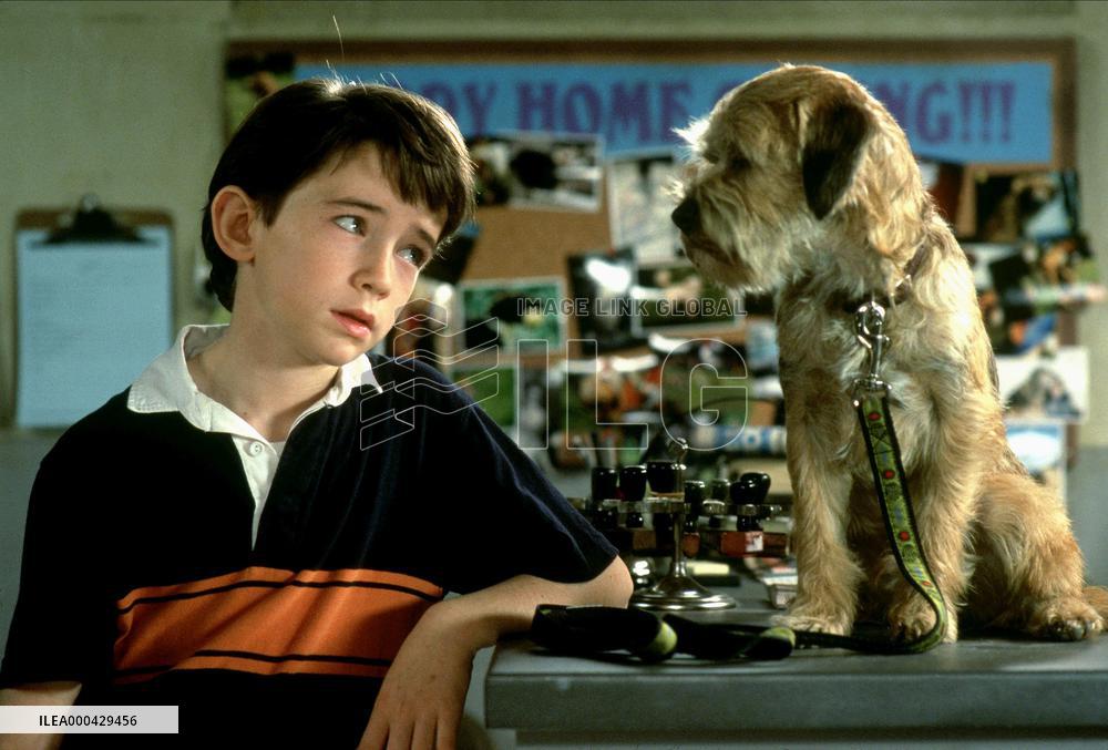 Good Boy! (2003)