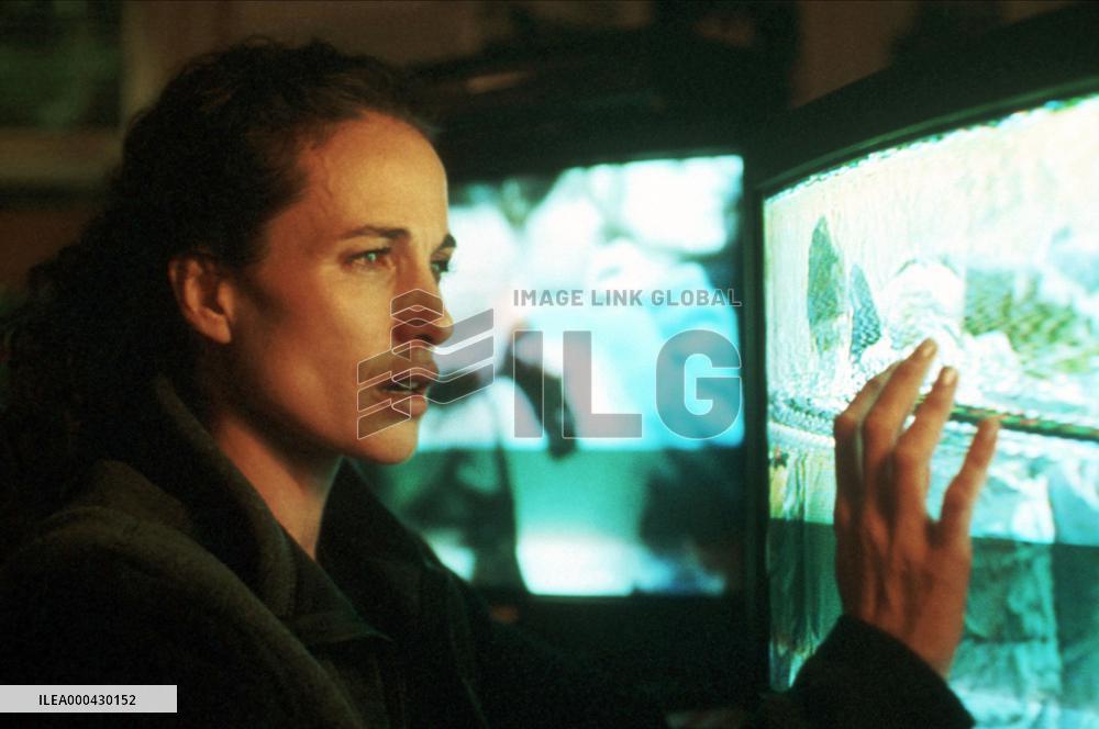 Harrison's Flowers (2000)