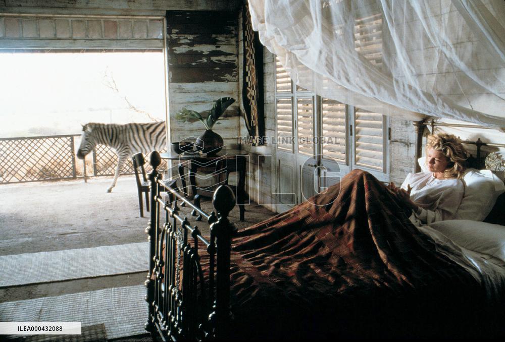 I Dreamed Of Africa (2000)