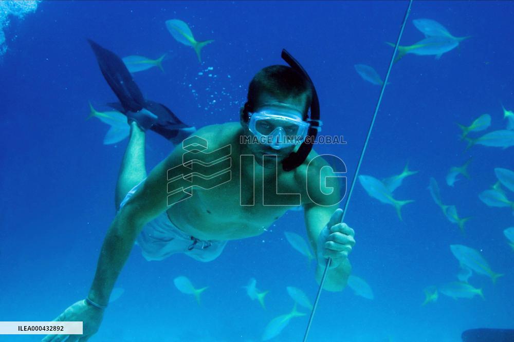 Into The Blue (2005)