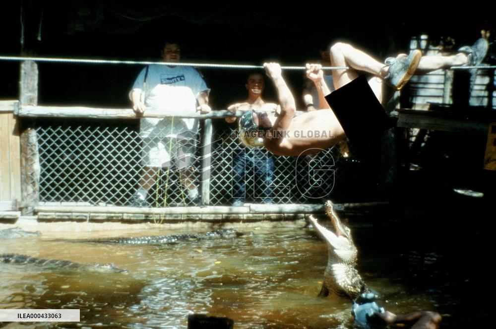 Jackass: The Movie (2002)