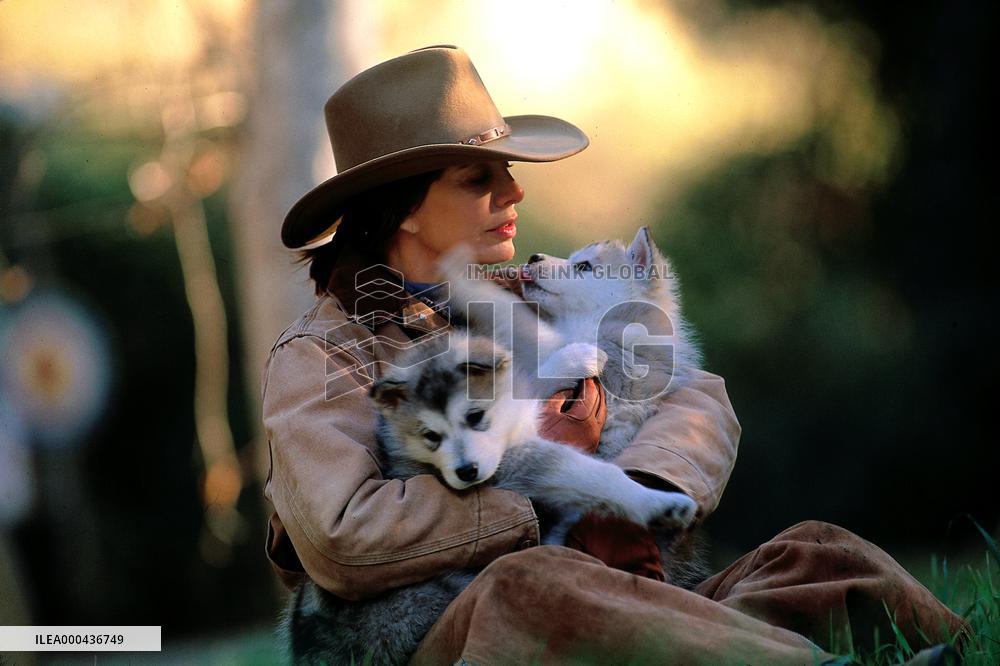 Night Of The Wolf (2002)