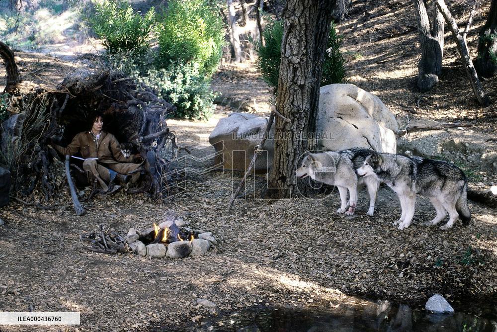 Night Of The Wolf (2002)