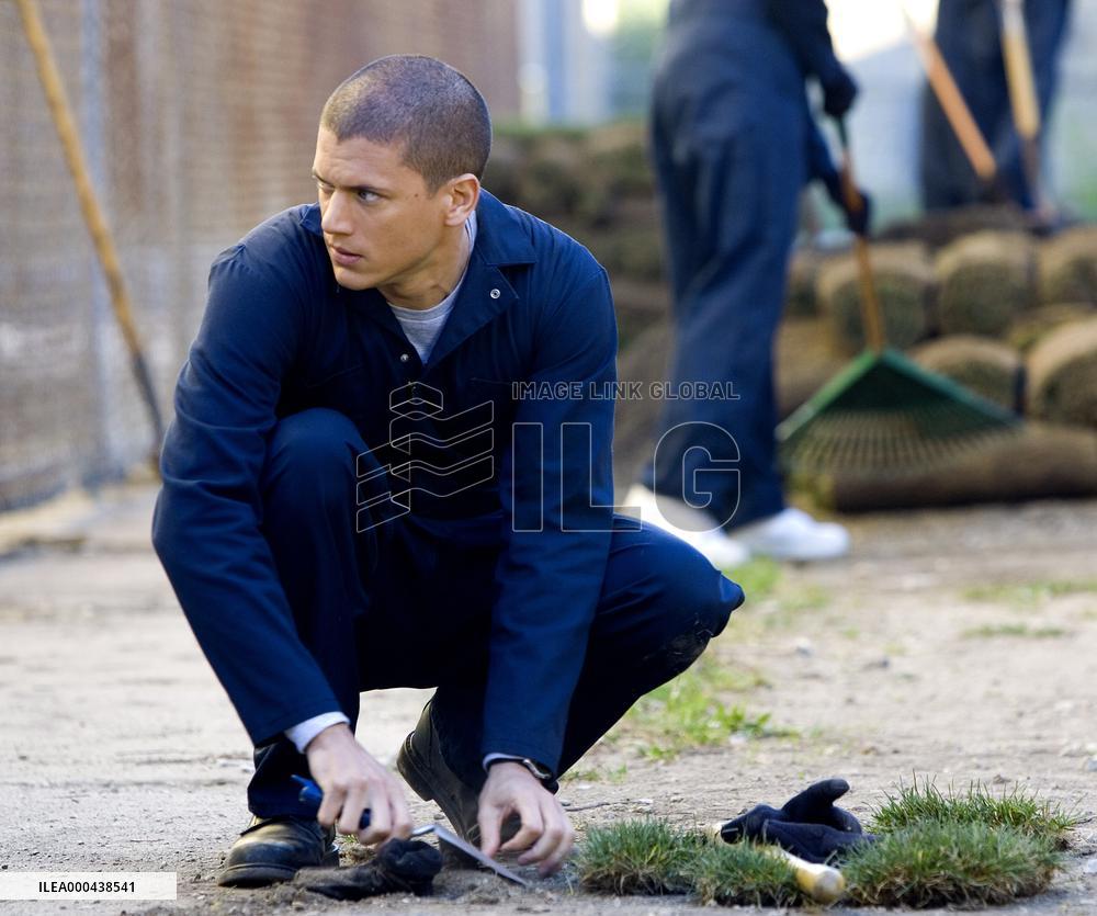 Prison Break : Season 1 (2005)