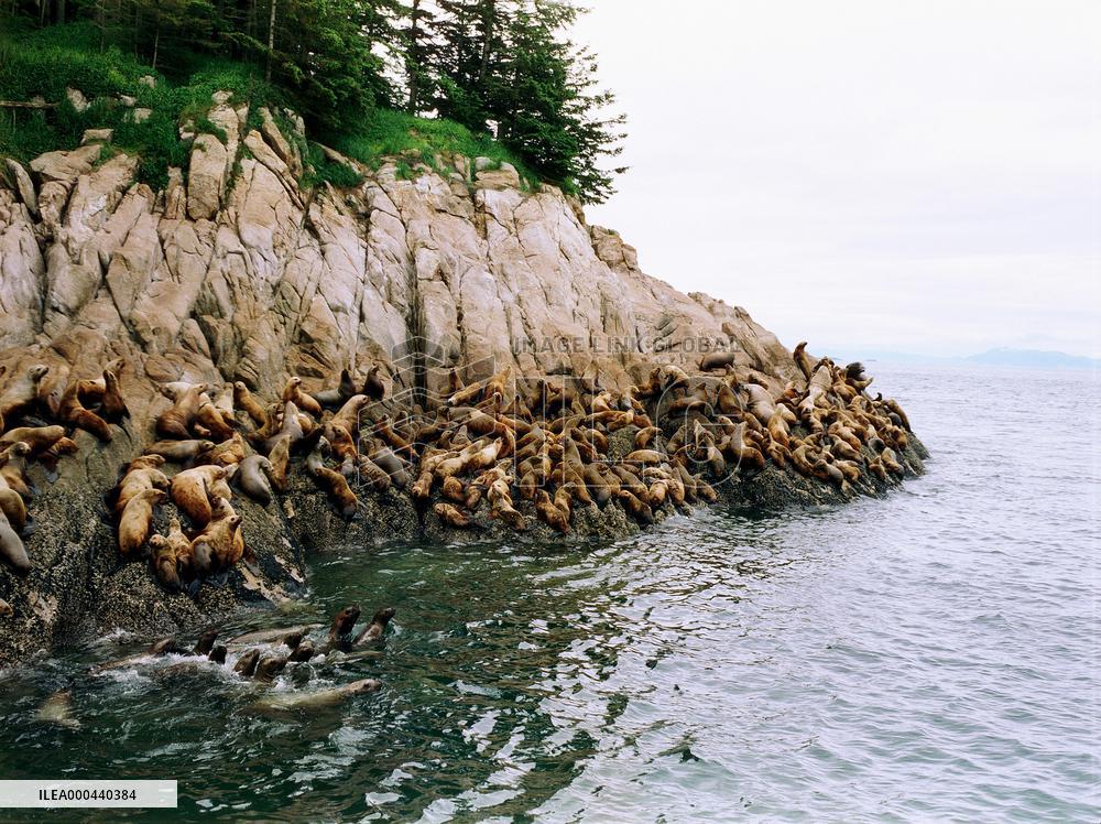 Sacred Planet (2004)