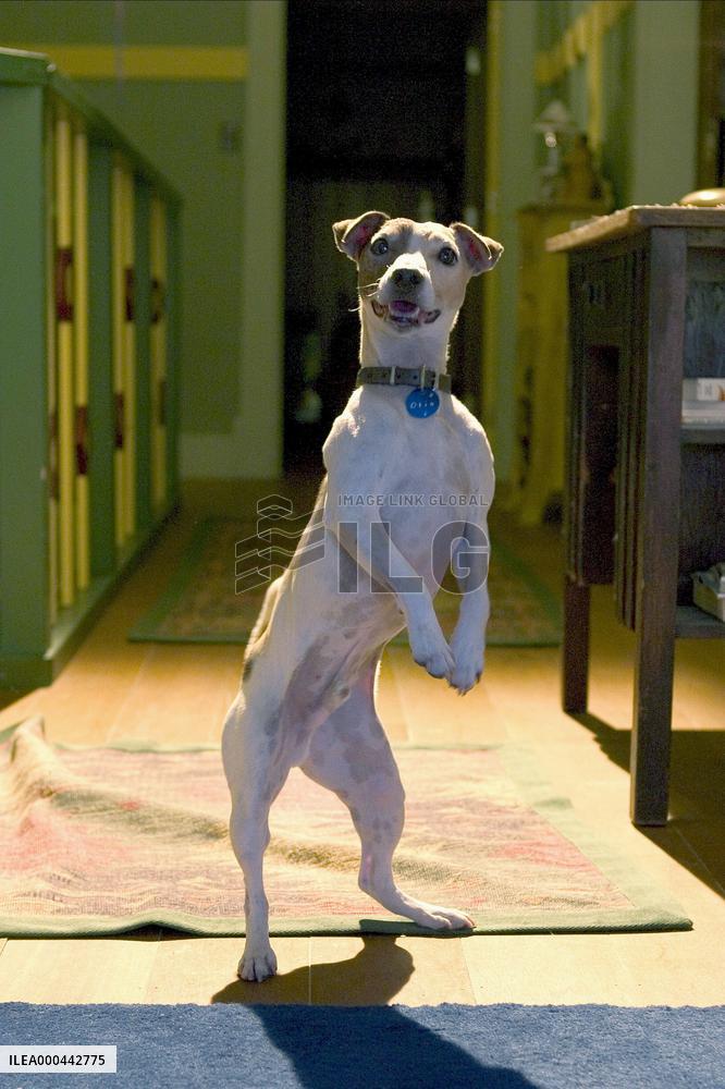 Son Of The Mask (2005)