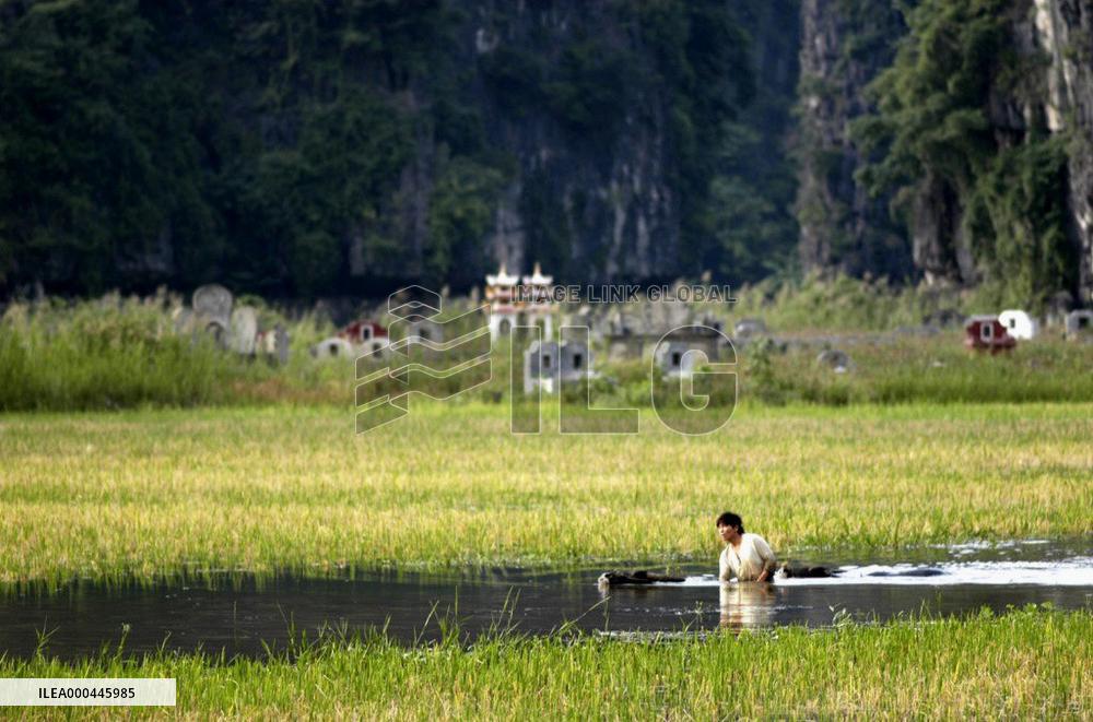 The Beautiful Country (2004)