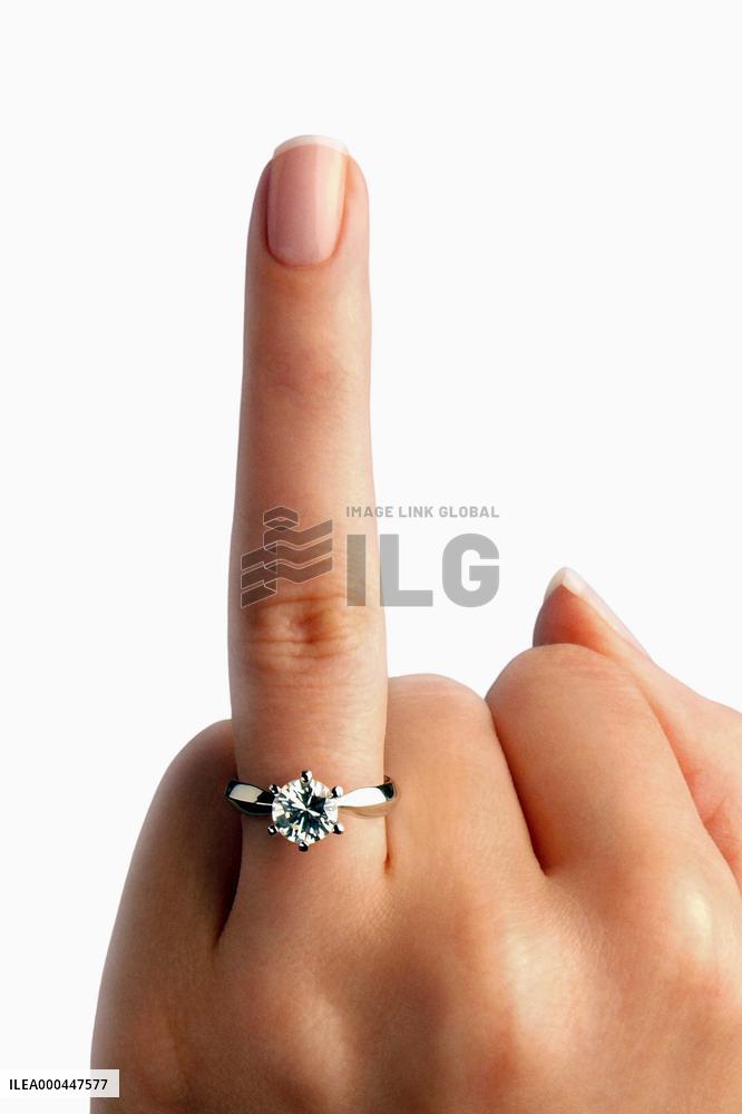 The Family Stone (2005)