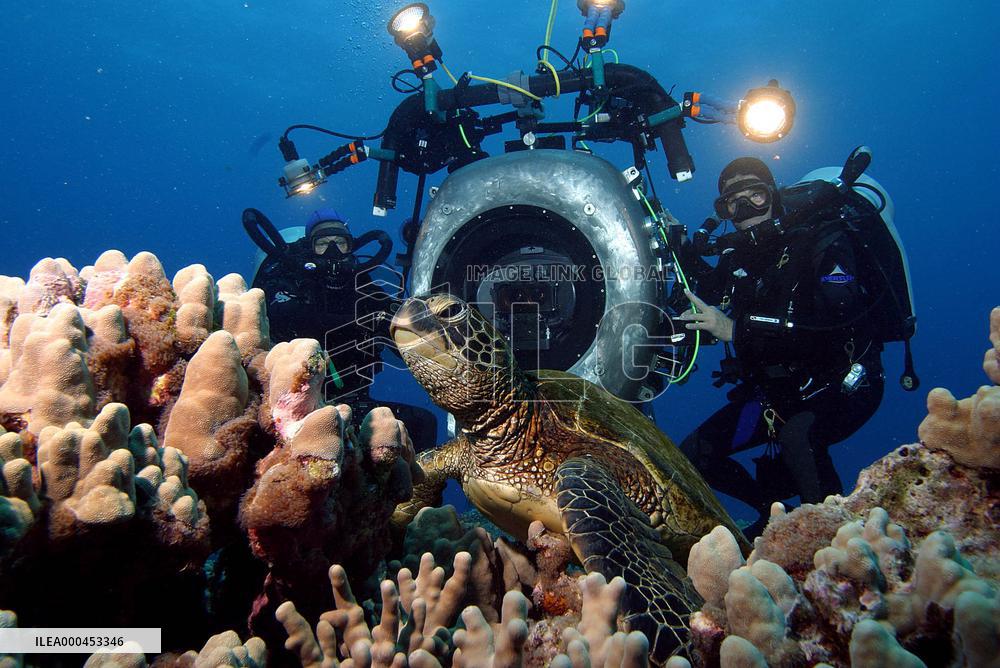 Deep Sea (2006)
