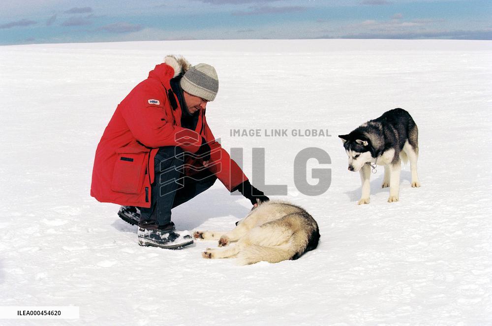 Eight Below (2006)