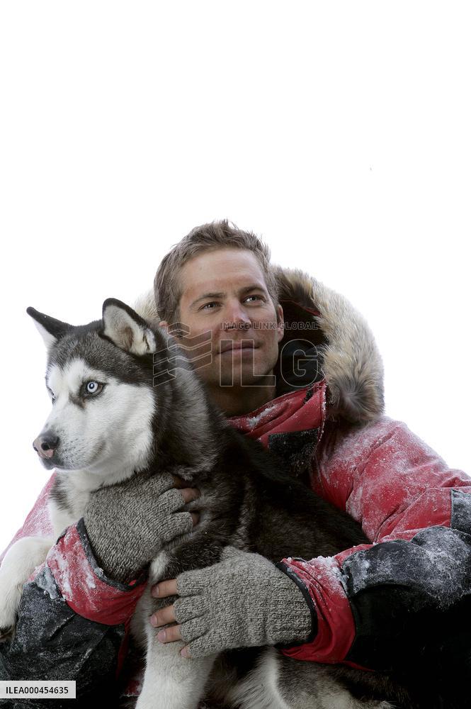 Eight Below (2006)