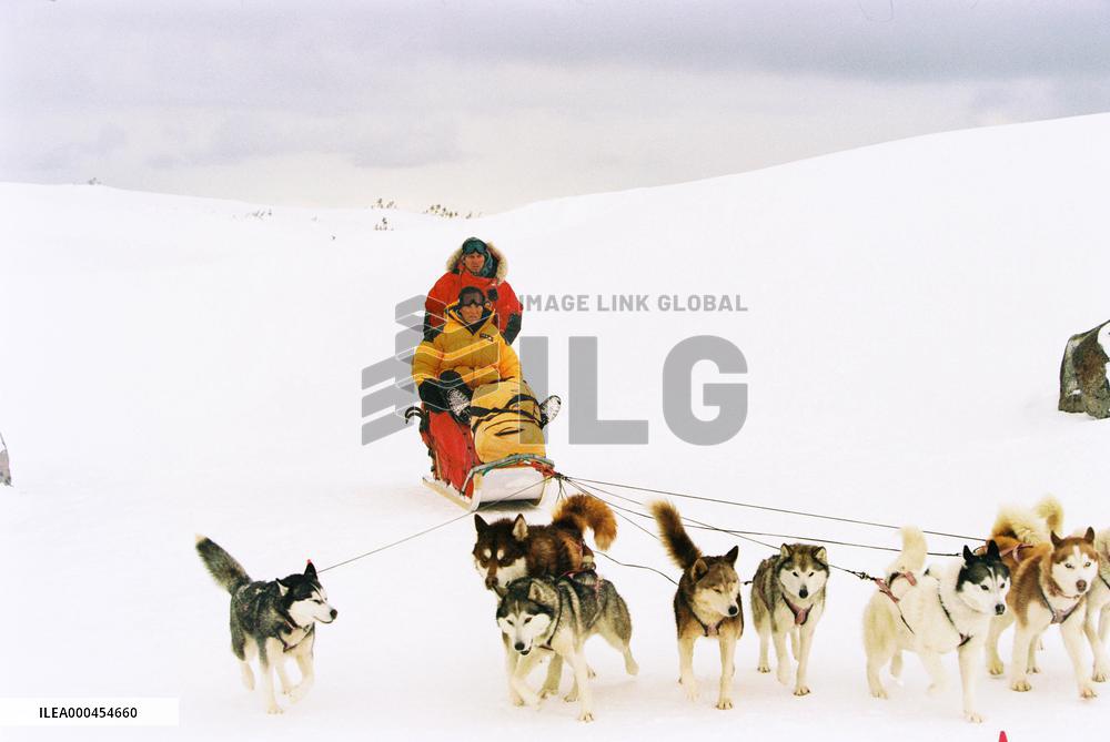 Eight Below (2006)