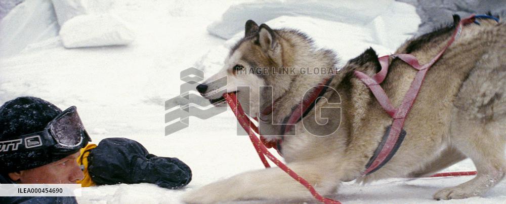 Eight Below (2006)
