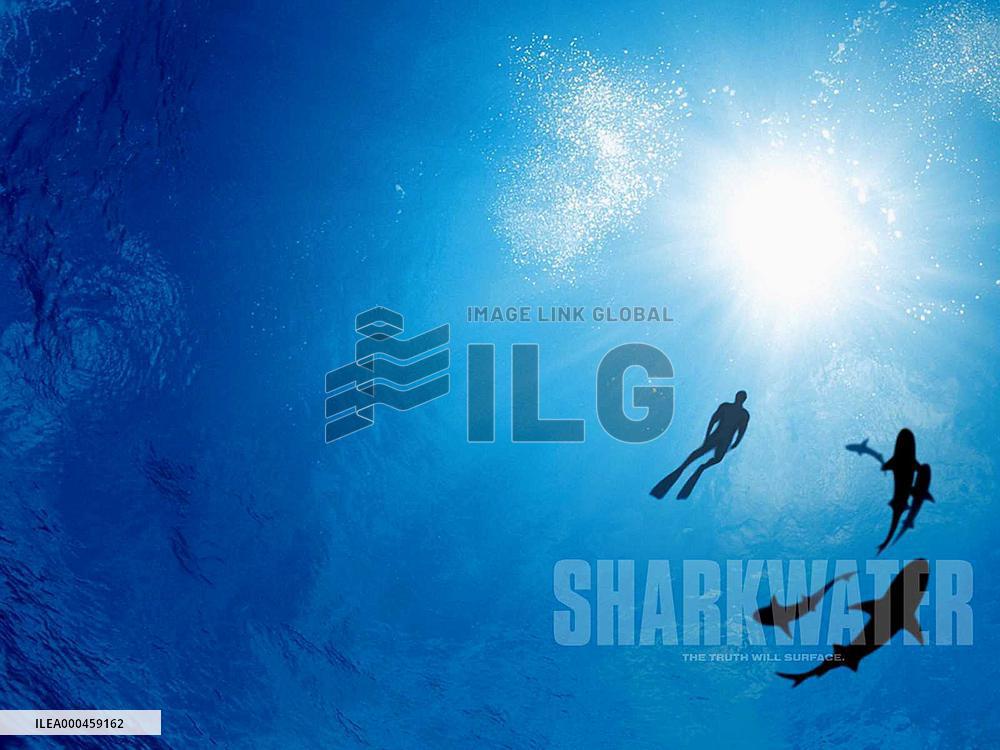 Sharkwater (2006)