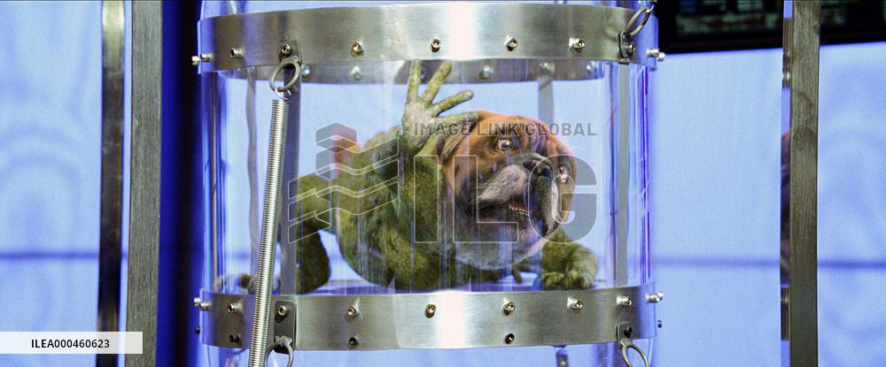 The Shaggy Dog (2006)