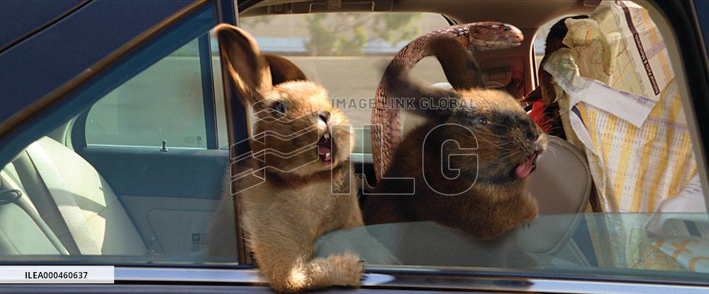 The Shaggy Dog (2006)