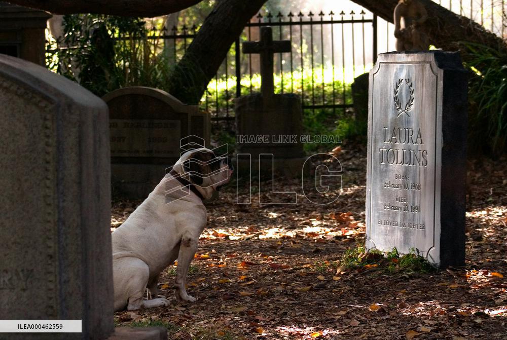 The Number 23 (2007)