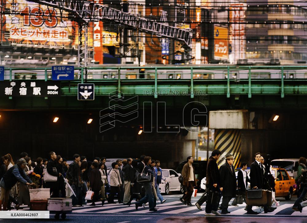 Cherry Blossoms (2008)