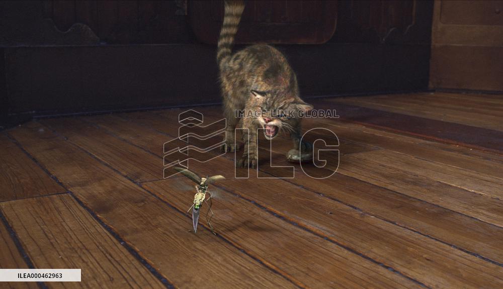 The Golden Compass (2007)