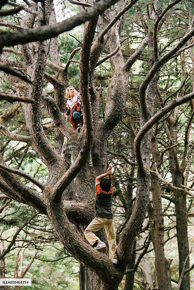 Bridge To Terabithia (2007)