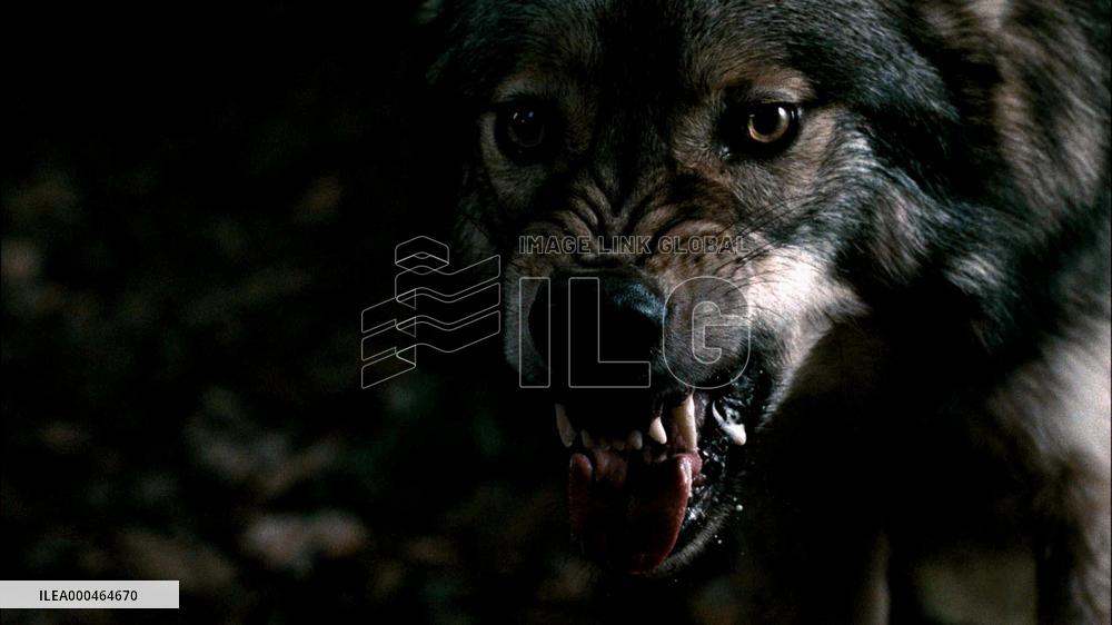 Blood And Chocolate (2007)