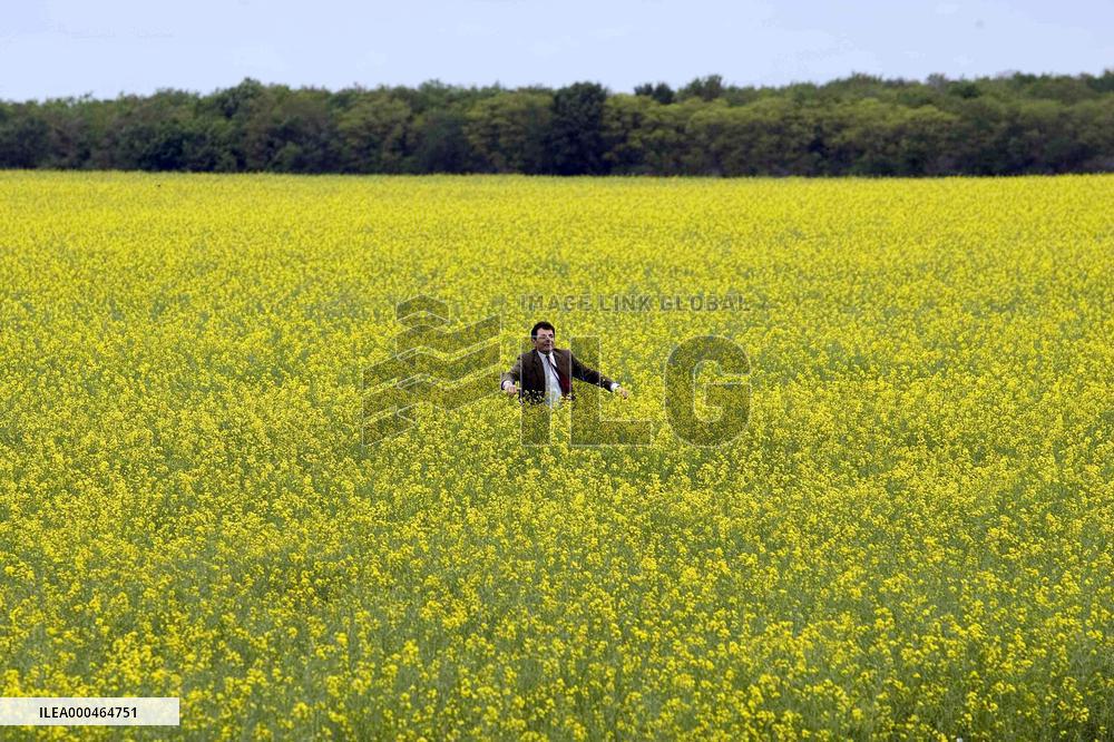 Mr. Bean'S Holiday (2007)