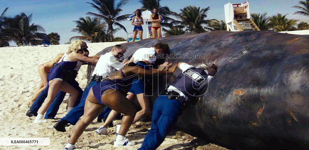 Reno 911!: Miami (2007)