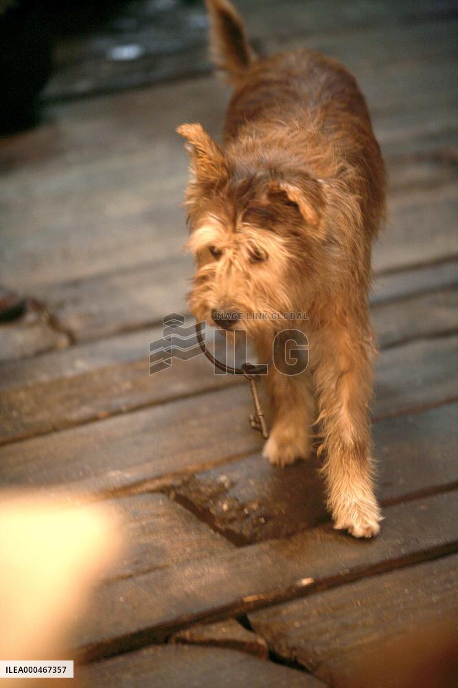 Pirates Of The Caribbean 3 (2007)