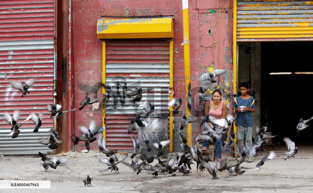 Chop Shop (2007)