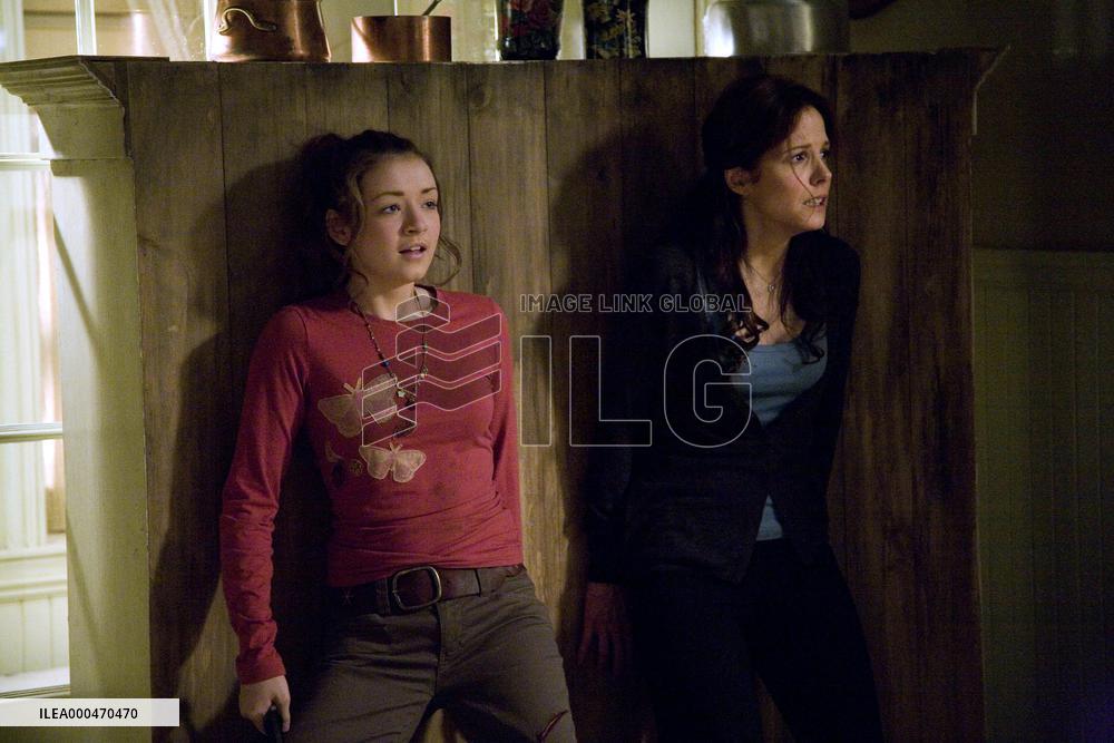 The Spiderwick Chronicles (2008)