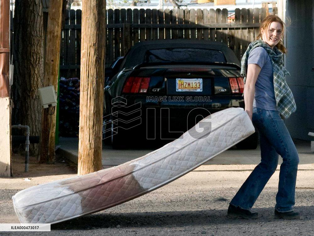 Sunshine Cleaning (2008)