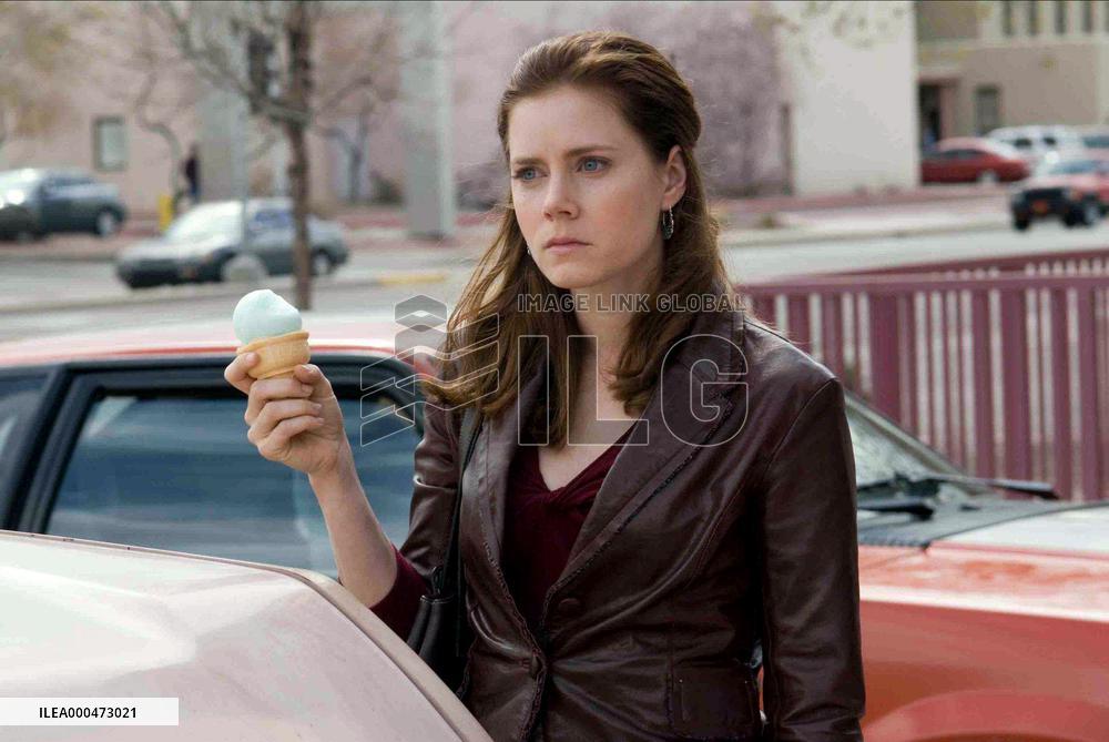 Sunshine Cleaning (2008)