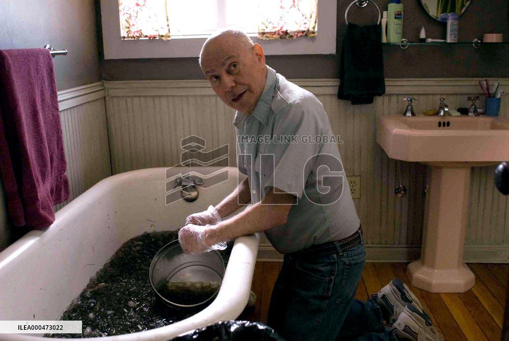 Sunshine Cleaning (2008)