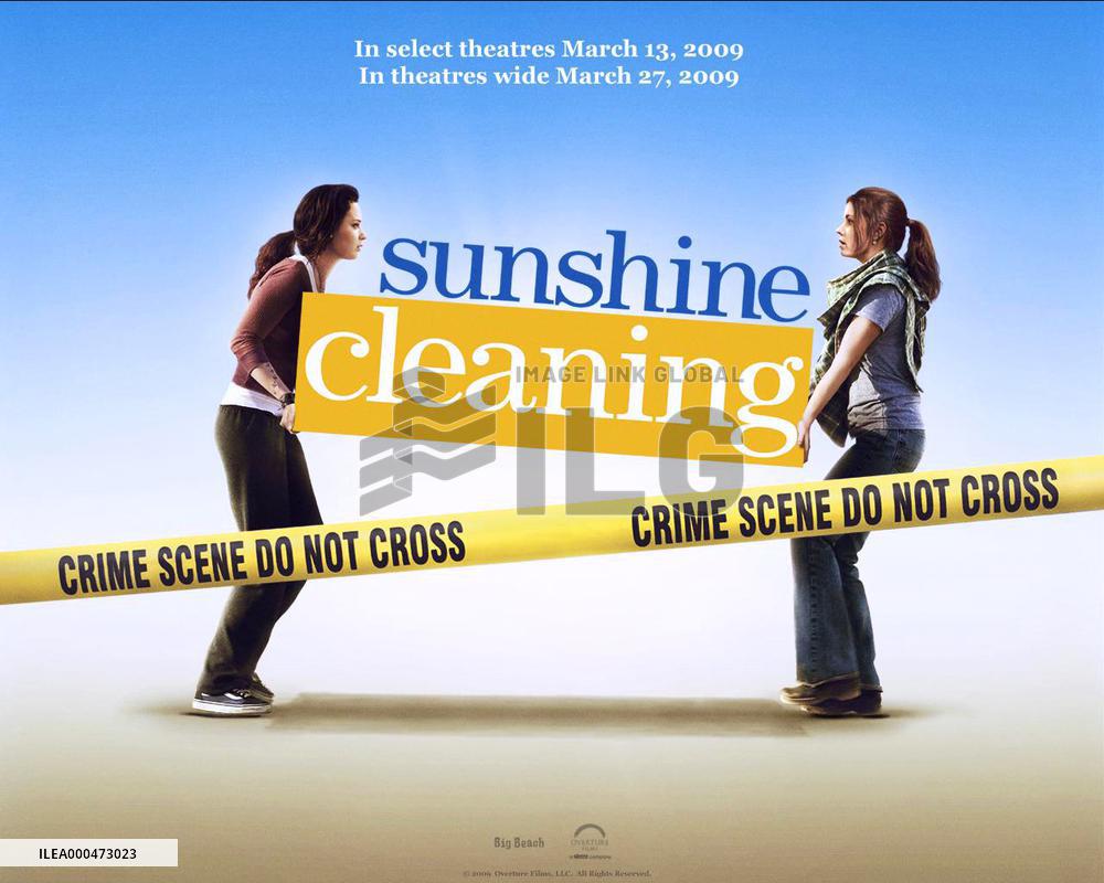 Sunshine Cleaning (2008)