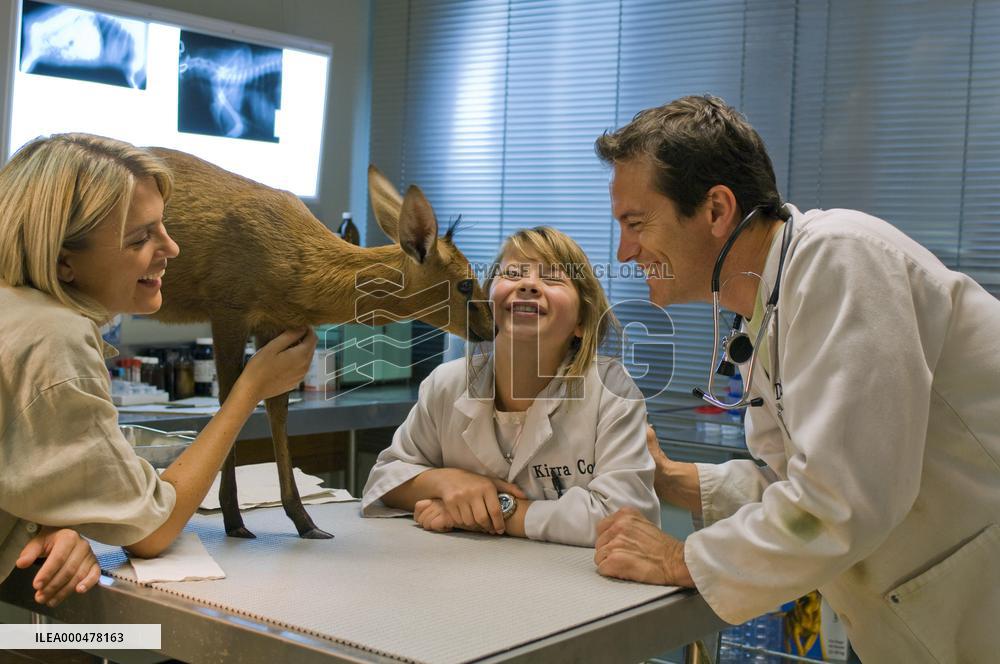 Free Willy: Escape From Pirate (2010)