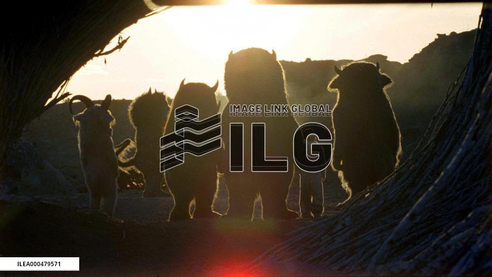 Where The Wild Things Are (2009)