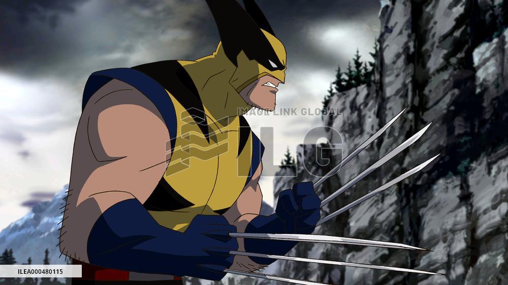 Hulk Vs. Wolverine (2009)