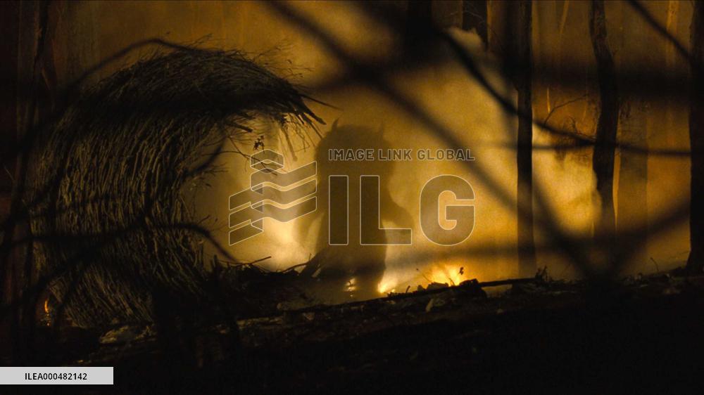 Where The Wild Things Are (2009)