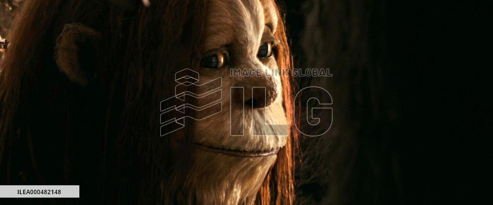 Where The Wild Things Are (2009)