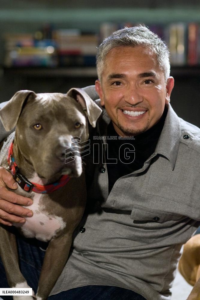 The Back-Up Plan (2010)