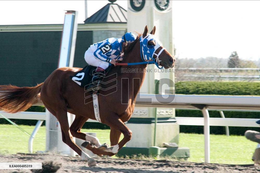 Secretariat (2010)