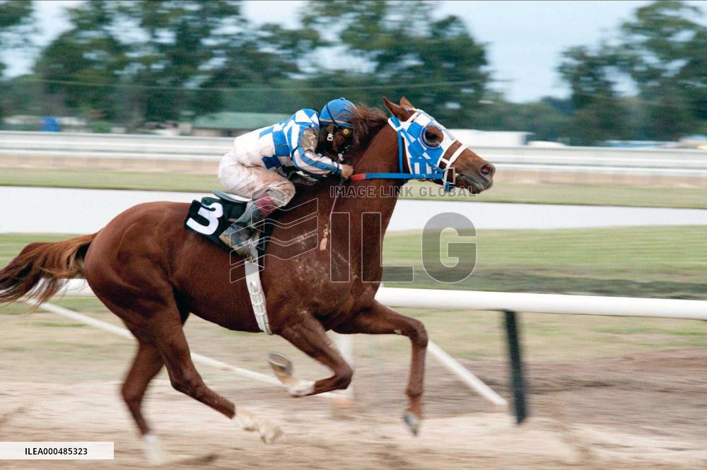 Secretariat (2010)