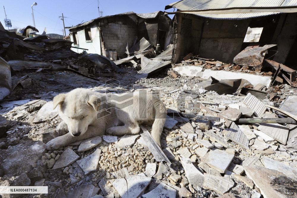 S. Korean island after N. Korea attack