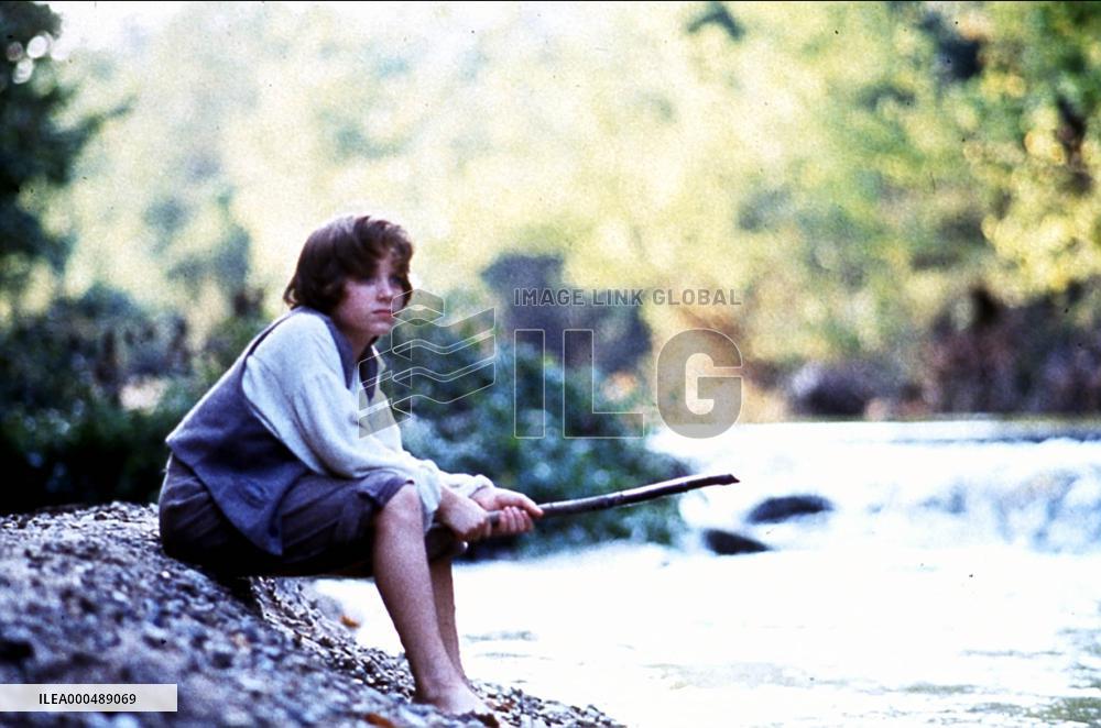 THE ADVENTURES OF HUCK FINN