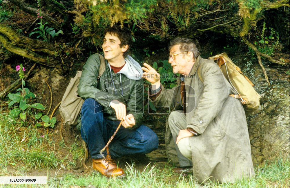 ALL THE LITTLE ANIMALS