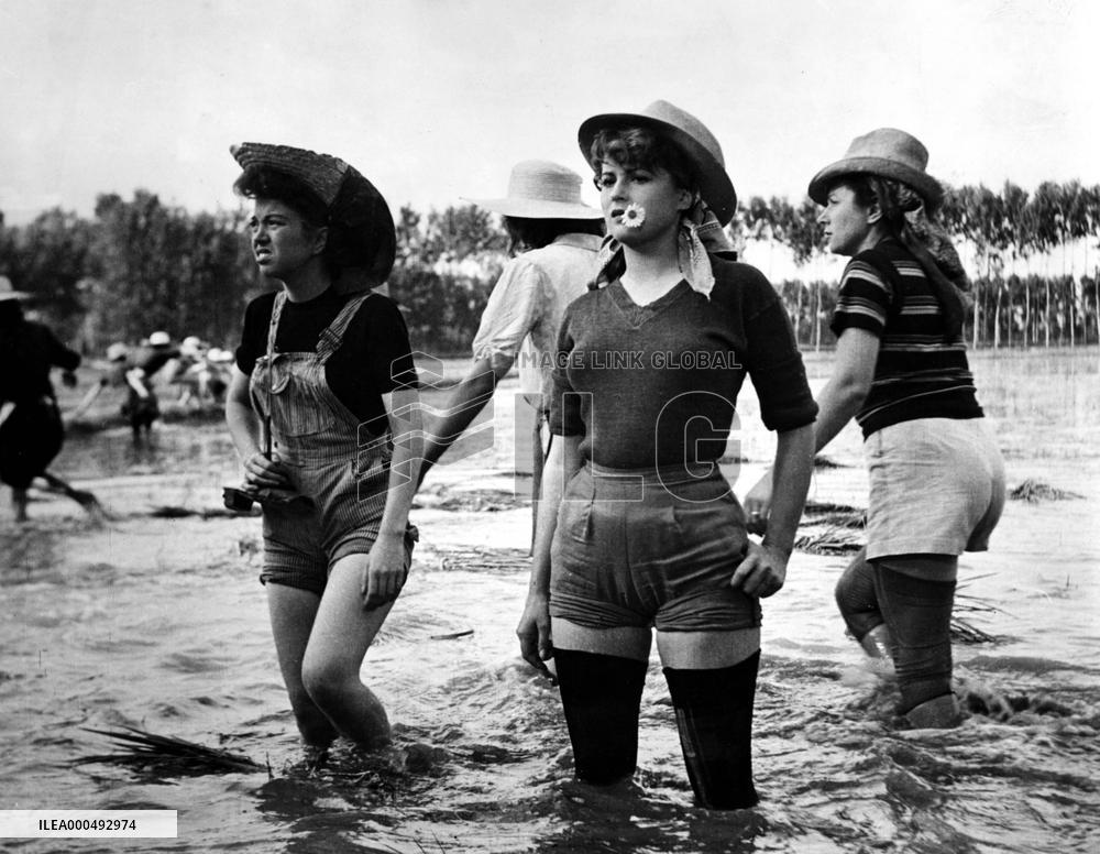 RISO AMARO   aka BITTER RICE