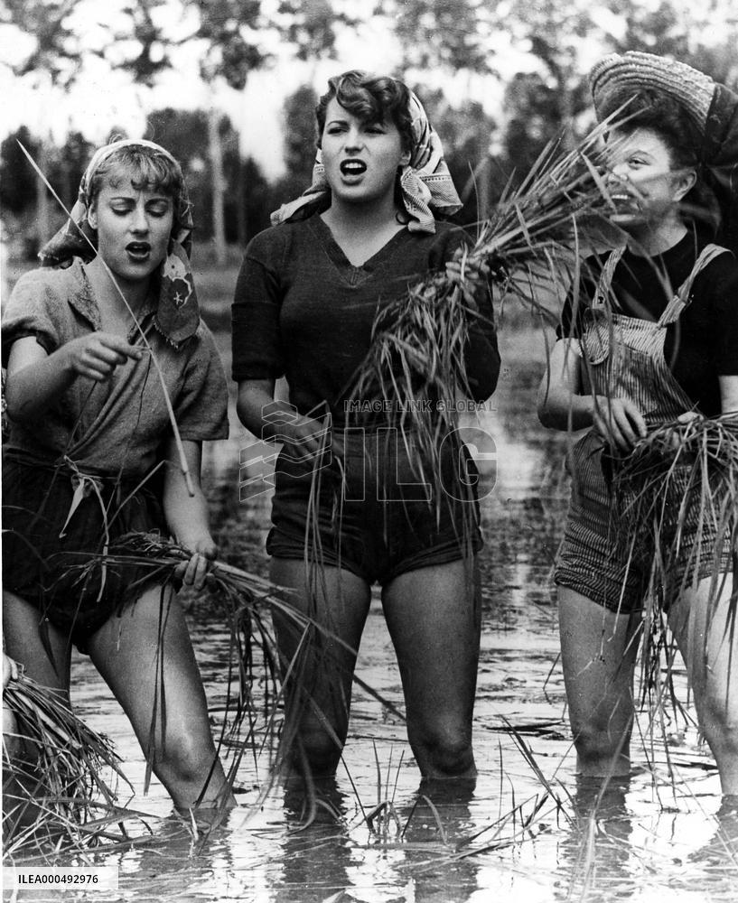 RISO AMARO   aka BITTER RICE