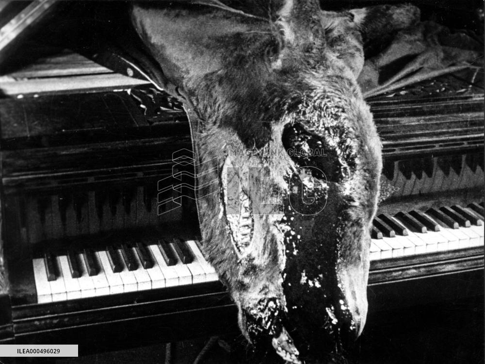 UN CHIEN ANDALOU